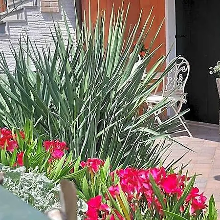 Elegante Ed Accogliente Con Garage. 5*